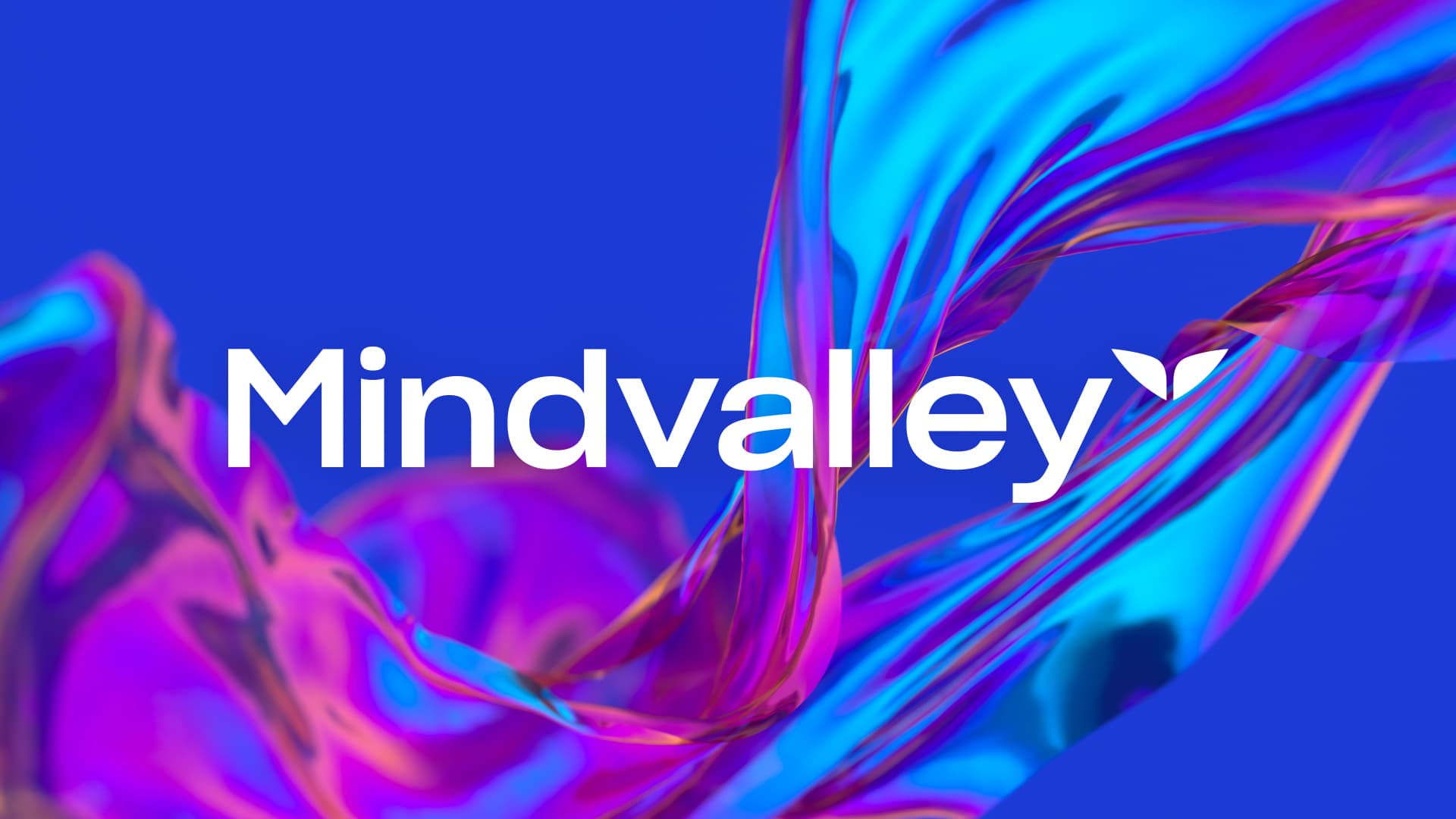 Vally team and brand